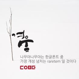 다온폰트 나무야나무야