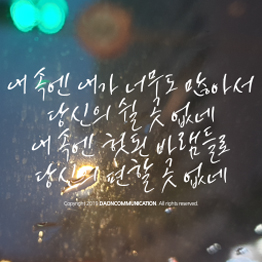 다온폰트 가시나무